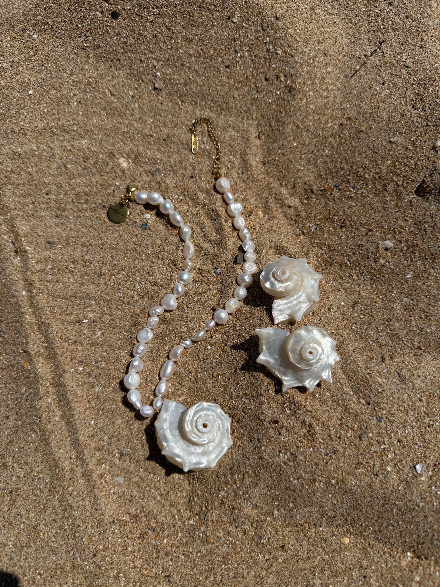 Pendientes Caracola Erizo