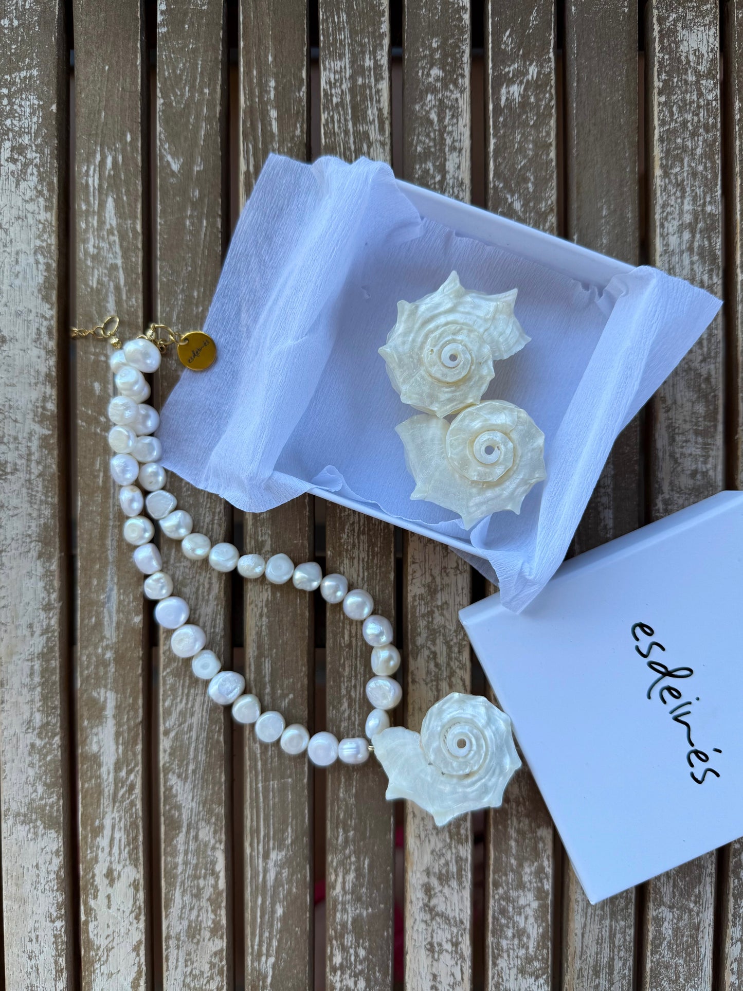 Pendientes Caracola Erizo